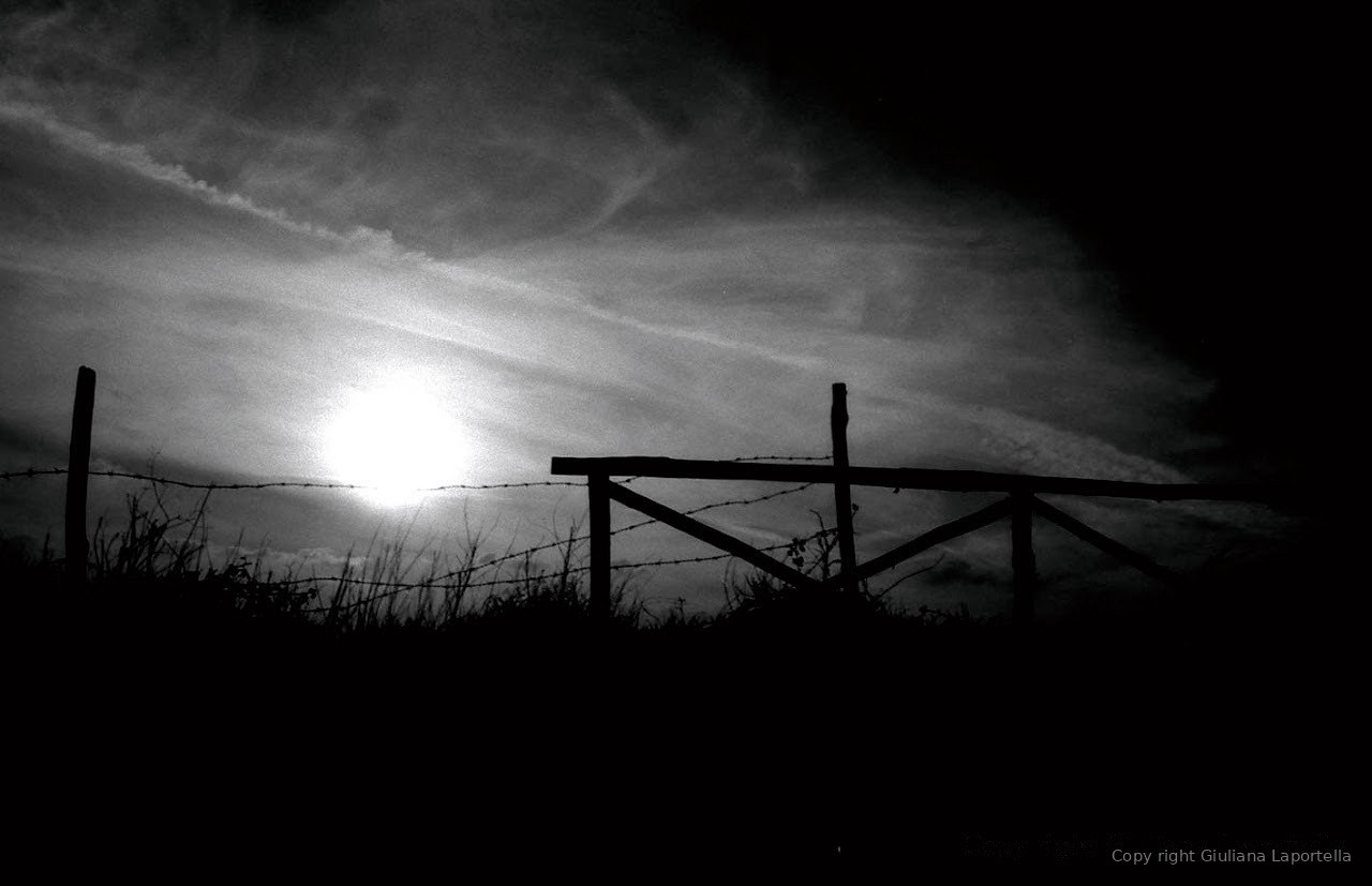 No Man's Land — 4