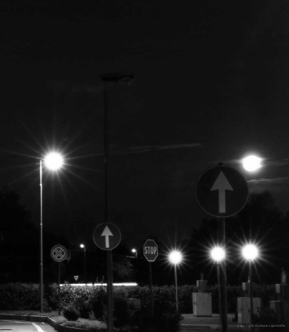 No Man's Land — 7