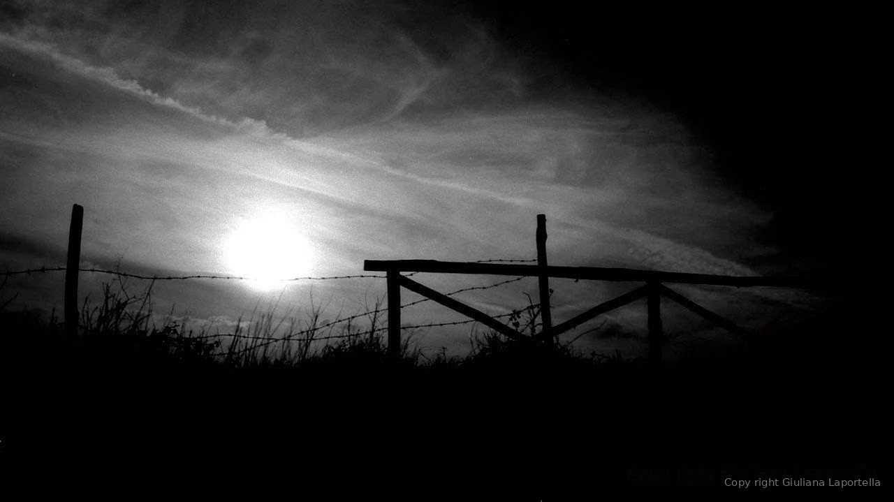 No Man's Land — 8