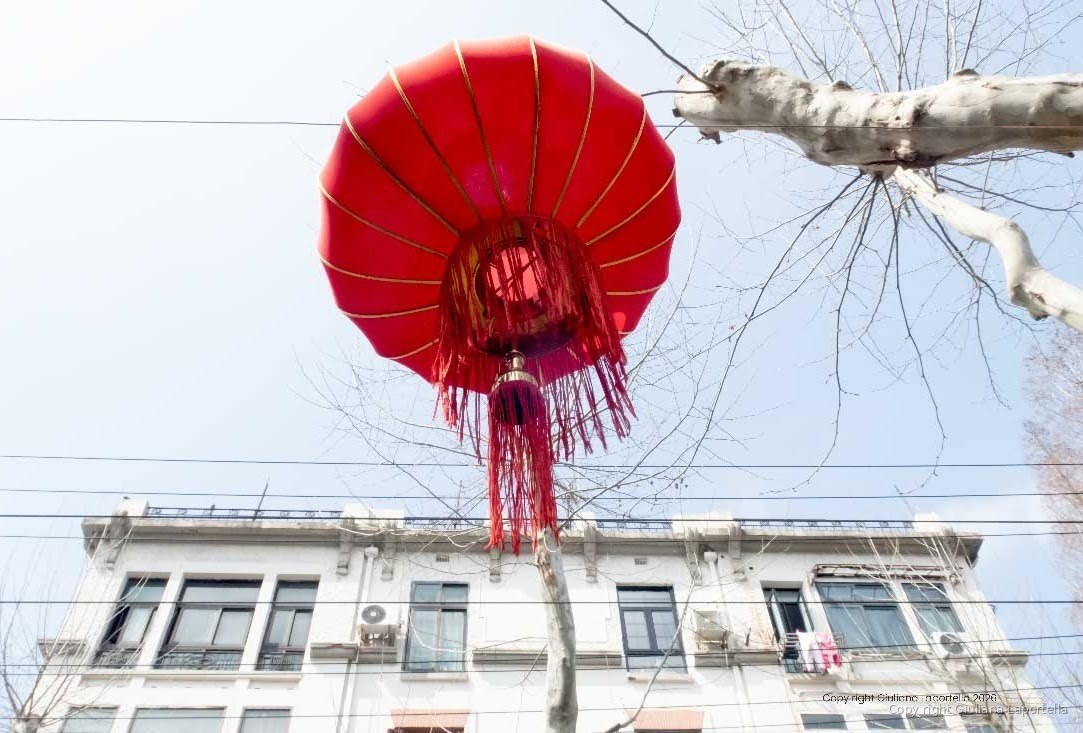 Cina — 8