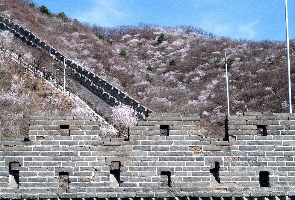 Cina — 16