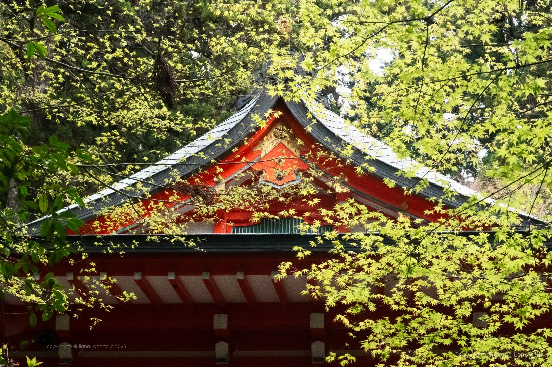 Giappone — 7