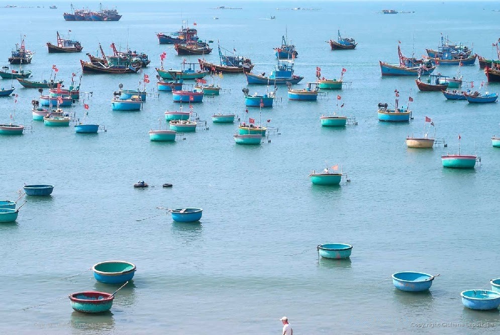 Vietnam — 5