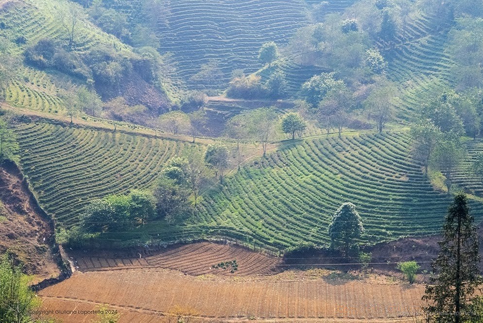Vietnam — 11