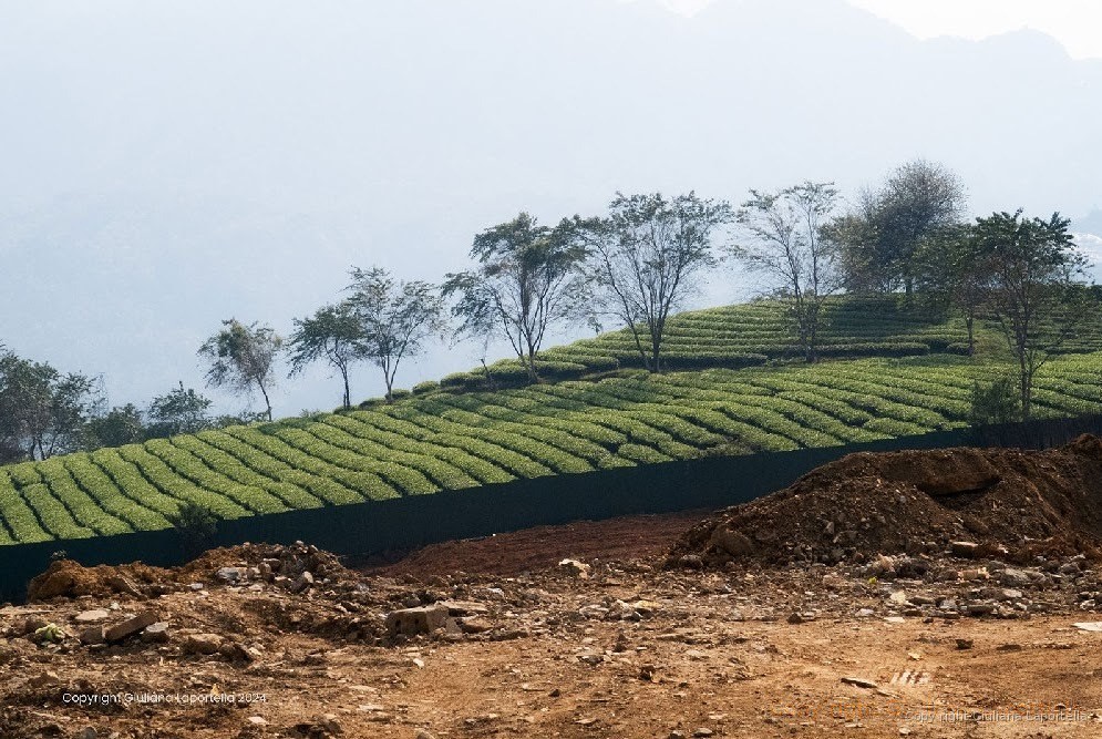 Vietnam — 12