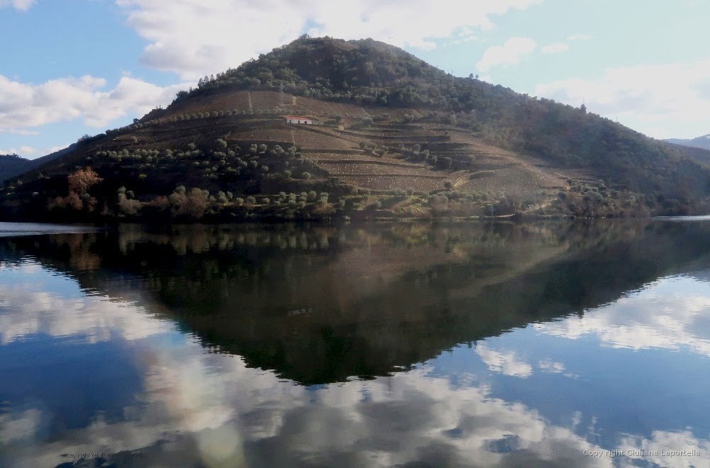 Tratti Portoghesi — 34
